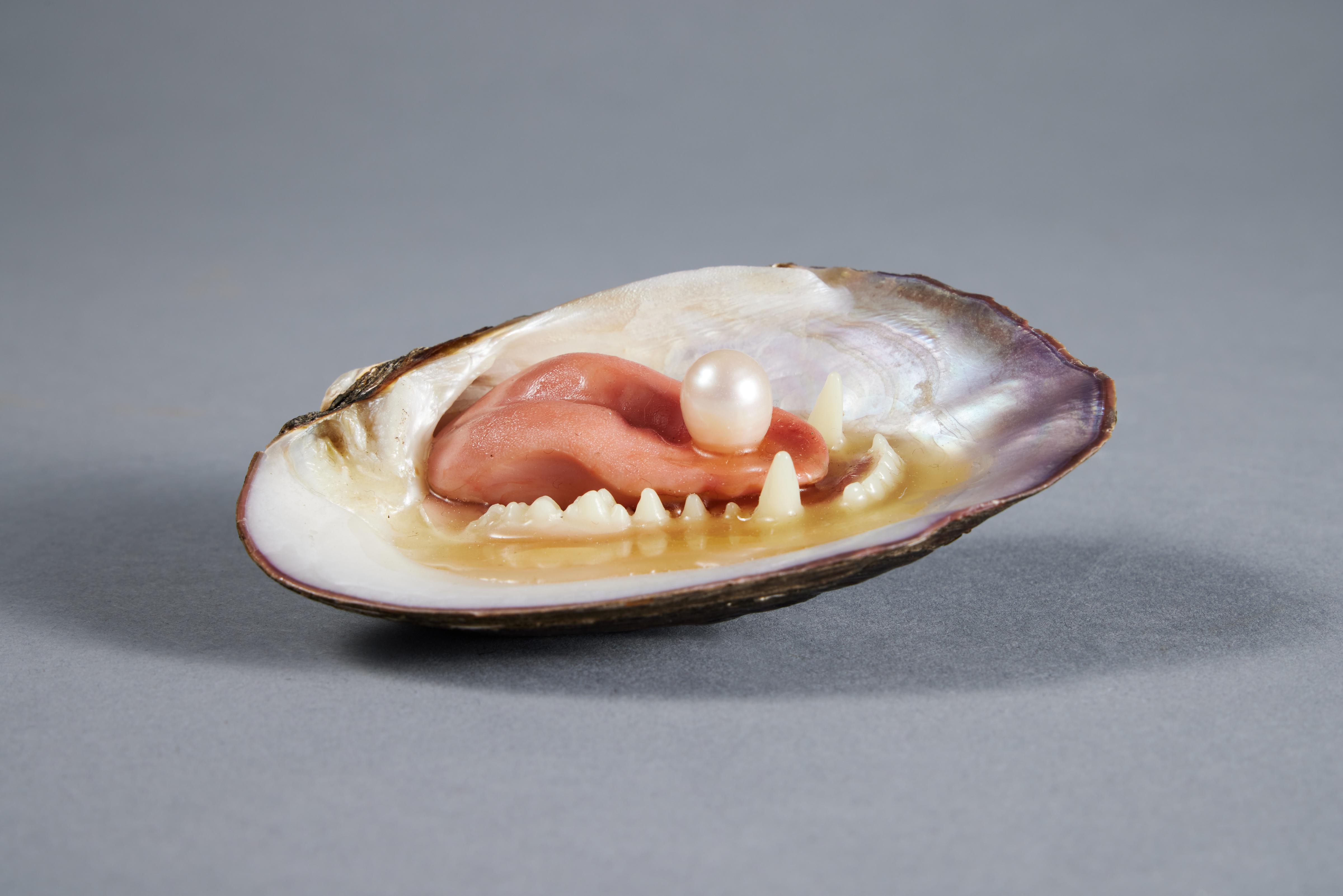 Untitled (Small Abalone Shell with Jaw) A Life in Art Sculpture from