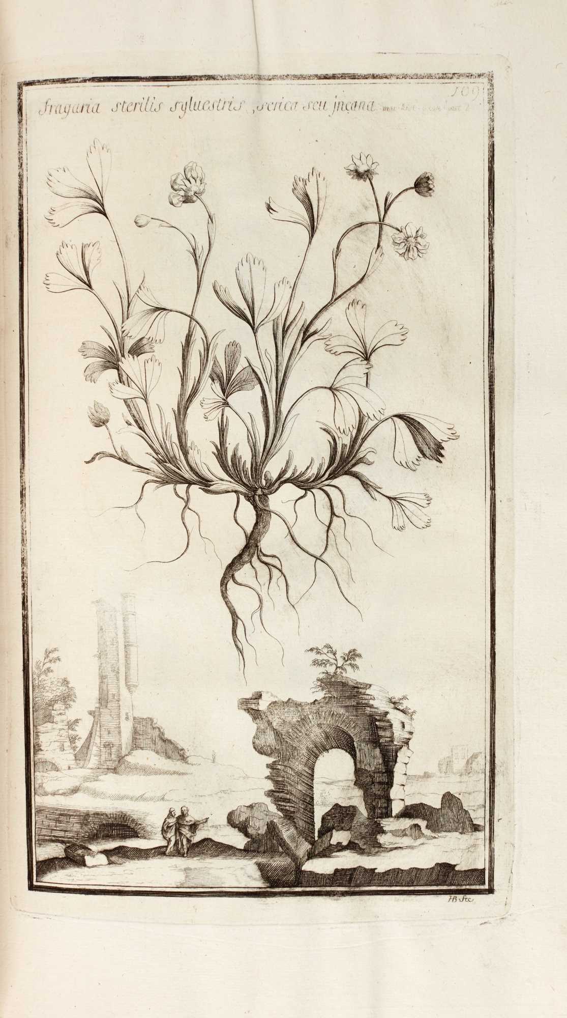 PierreJoseph Garidel Histoire des plantes qui naissent en Provence