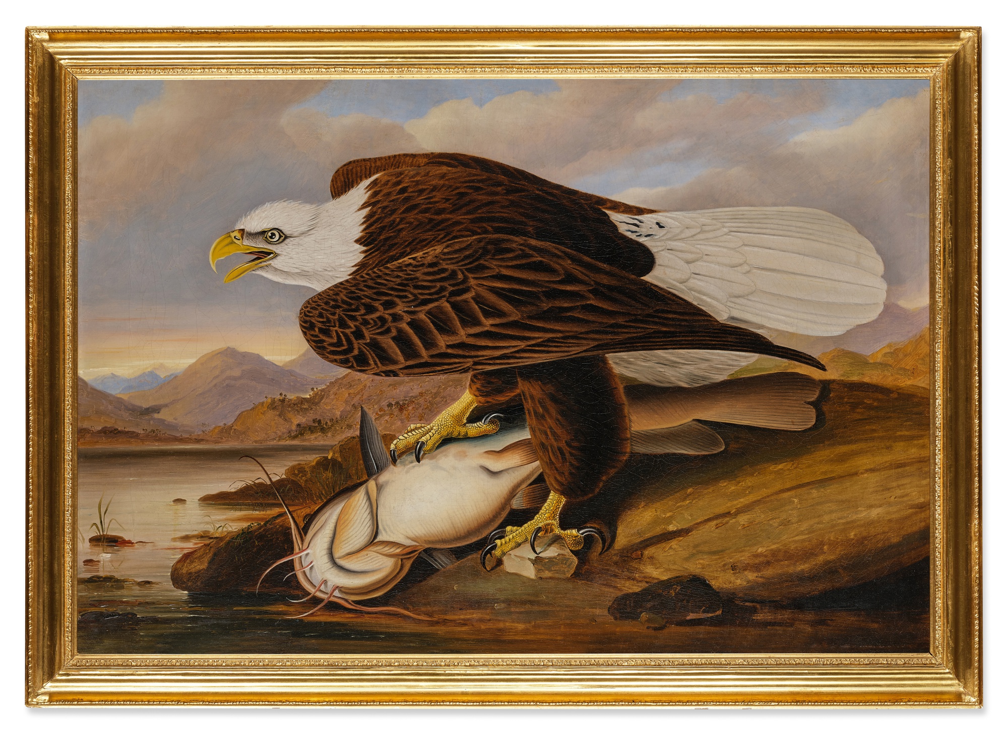 WhiteHeaded Eagle Art of the Americas Sotheby's