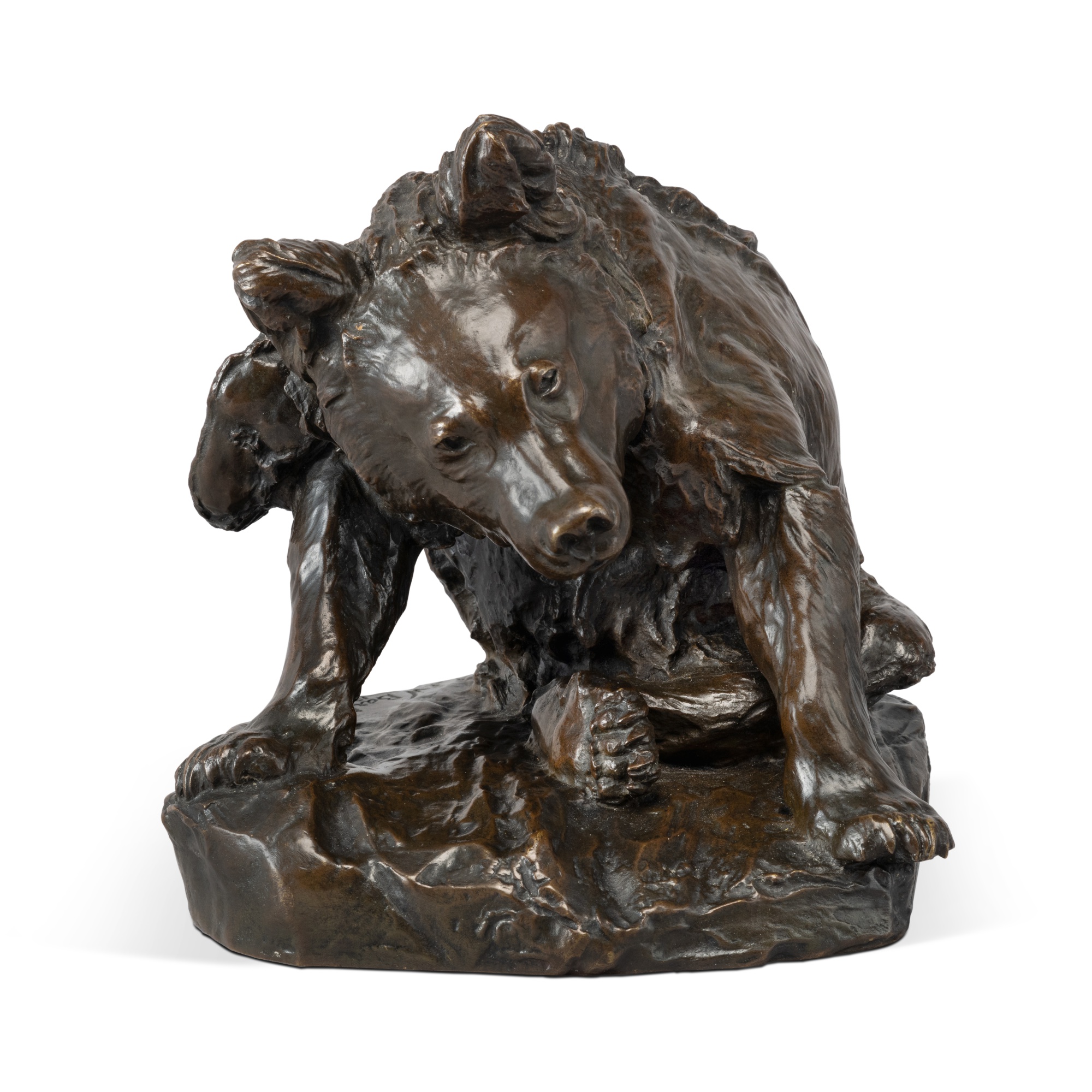 Bear Cub Grooming | Glorious America: The Wolf Family Collection | 2023