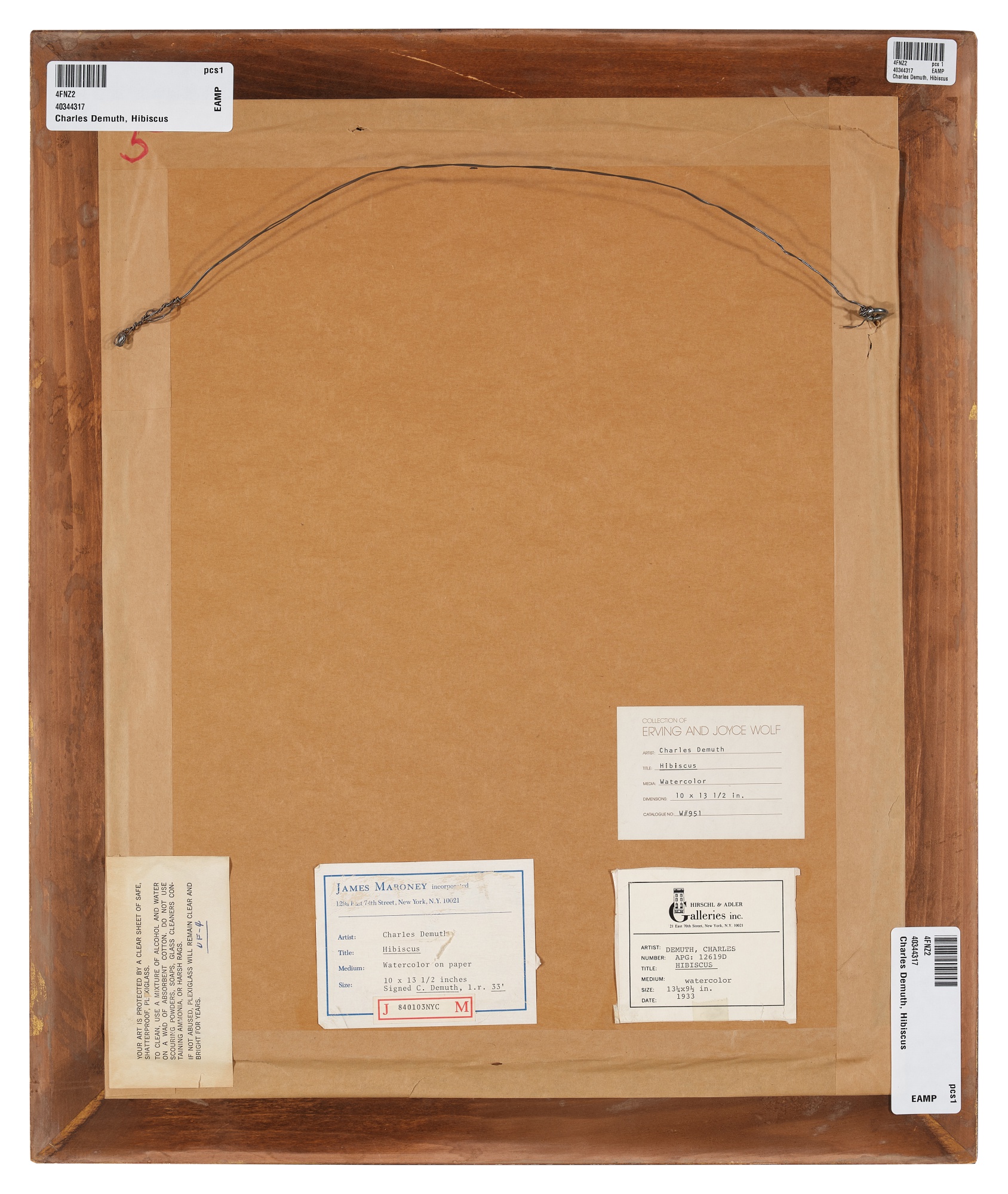 Hibiscus The Spirit of America The Wolf Family Collection 2023