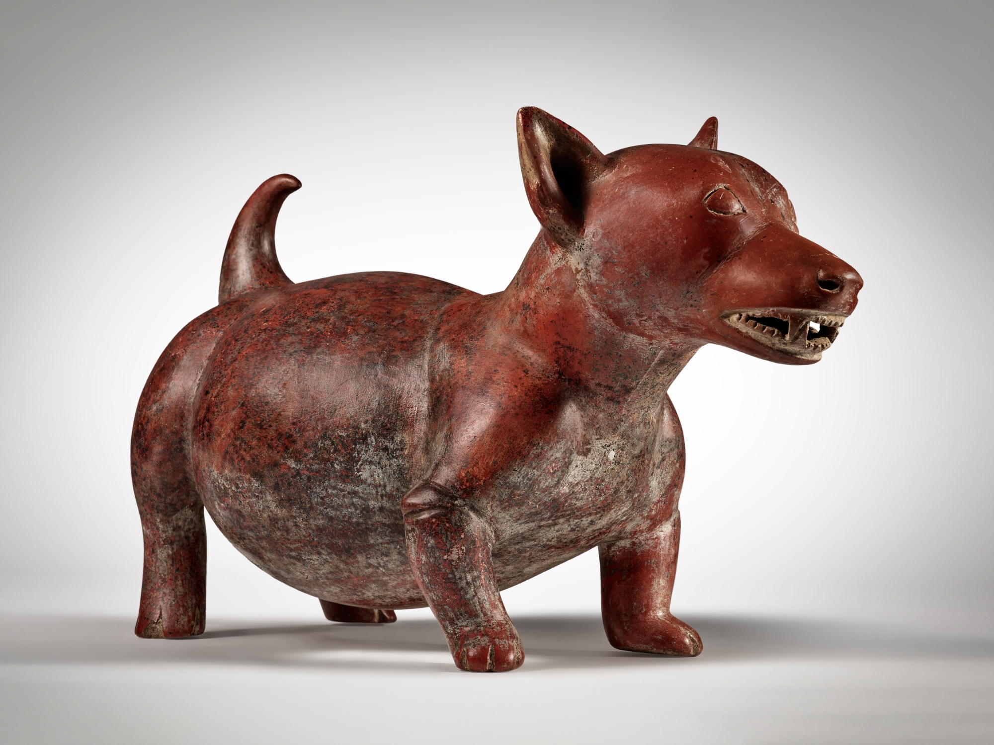 Colima Dog | Art of Africa, Oceania, and the Americas | African ...