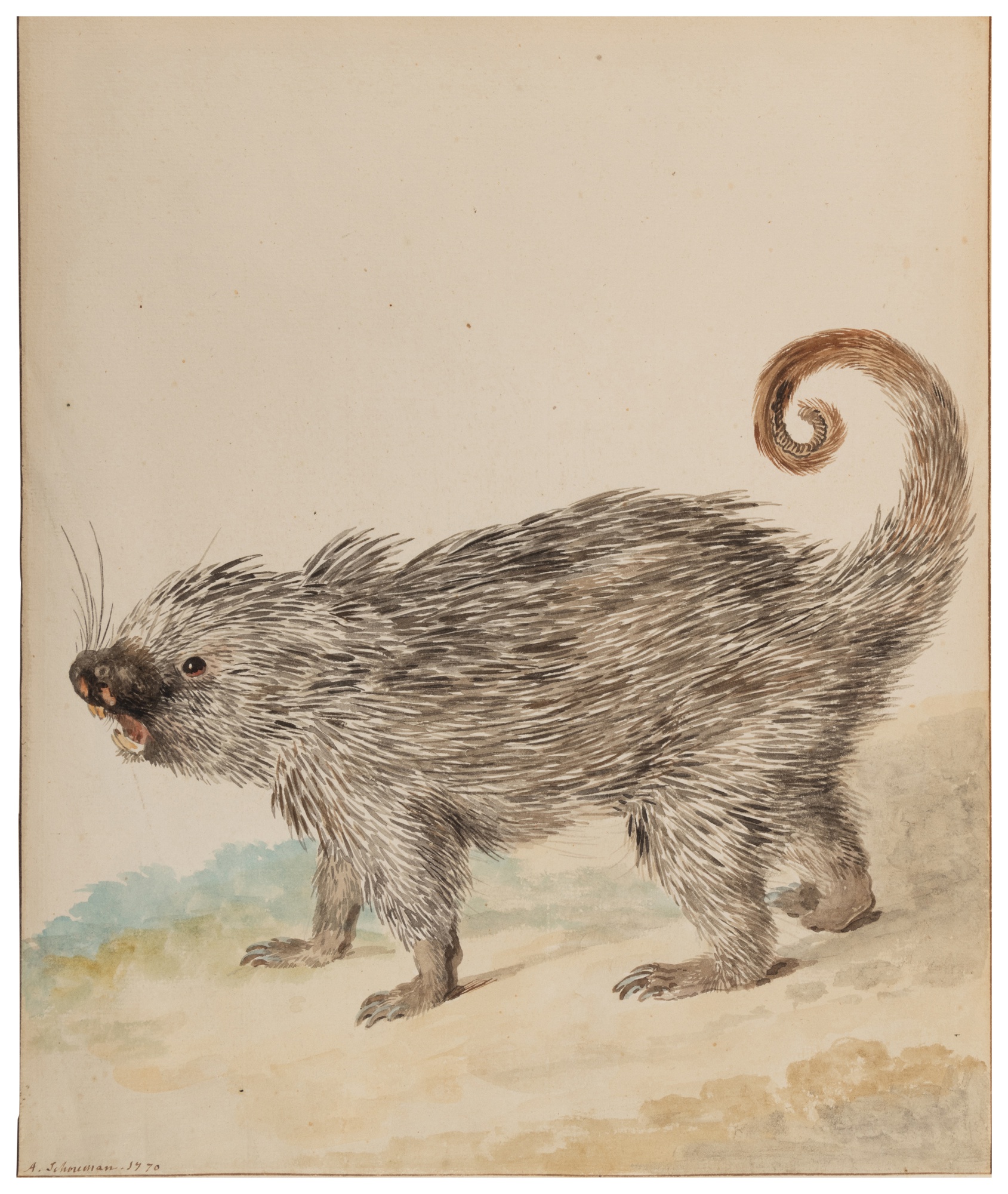 A Kind of Porcupine Old Master and British Works on Paper 2023