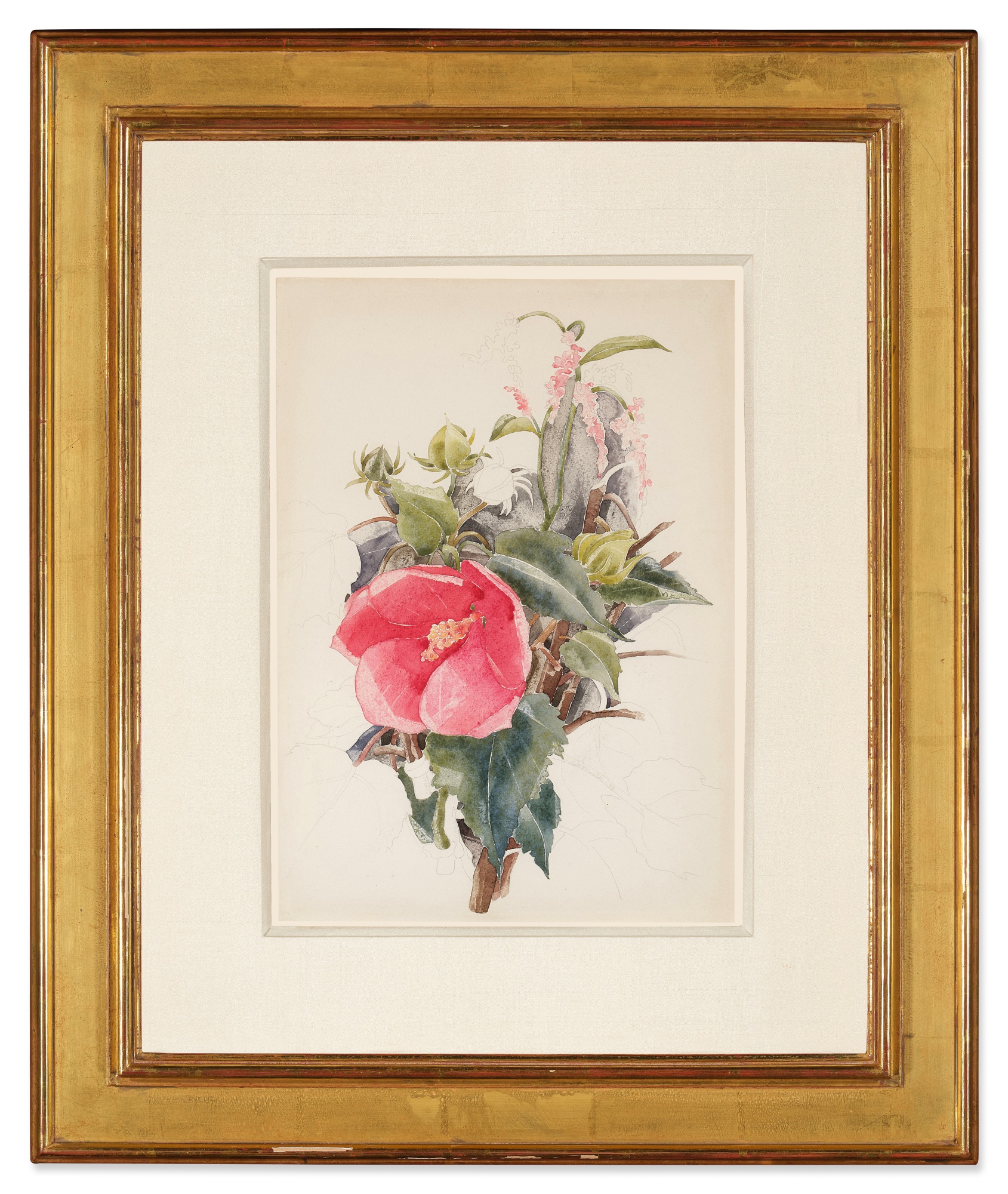 Hibiscus The Spirit of America The Wolf Family Collection 2023