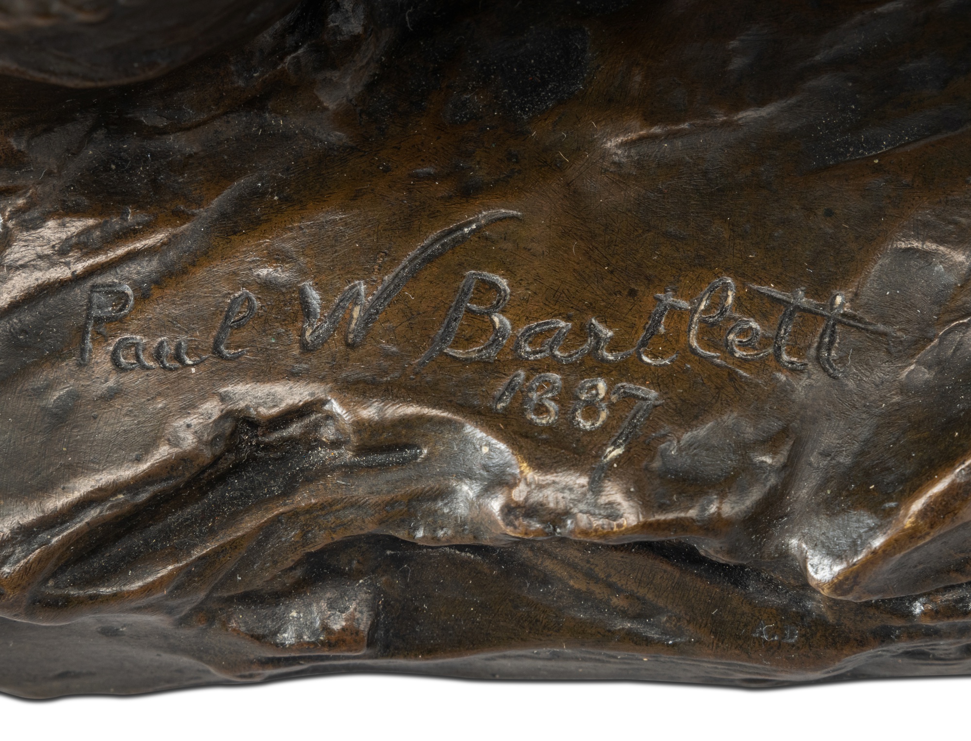 Bear Cub Grooming | Glorious America: The Wolf Family Collection | 2023