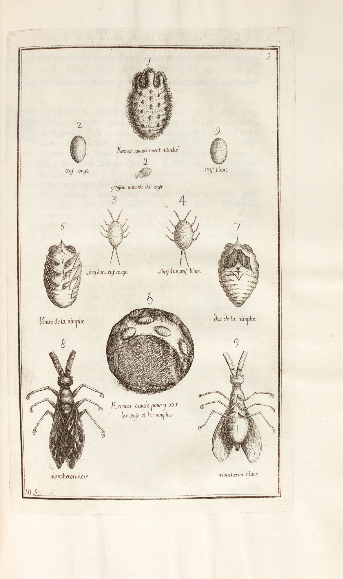 PierreJoseph Garidel Histoire des plantes qui naissent en Provence